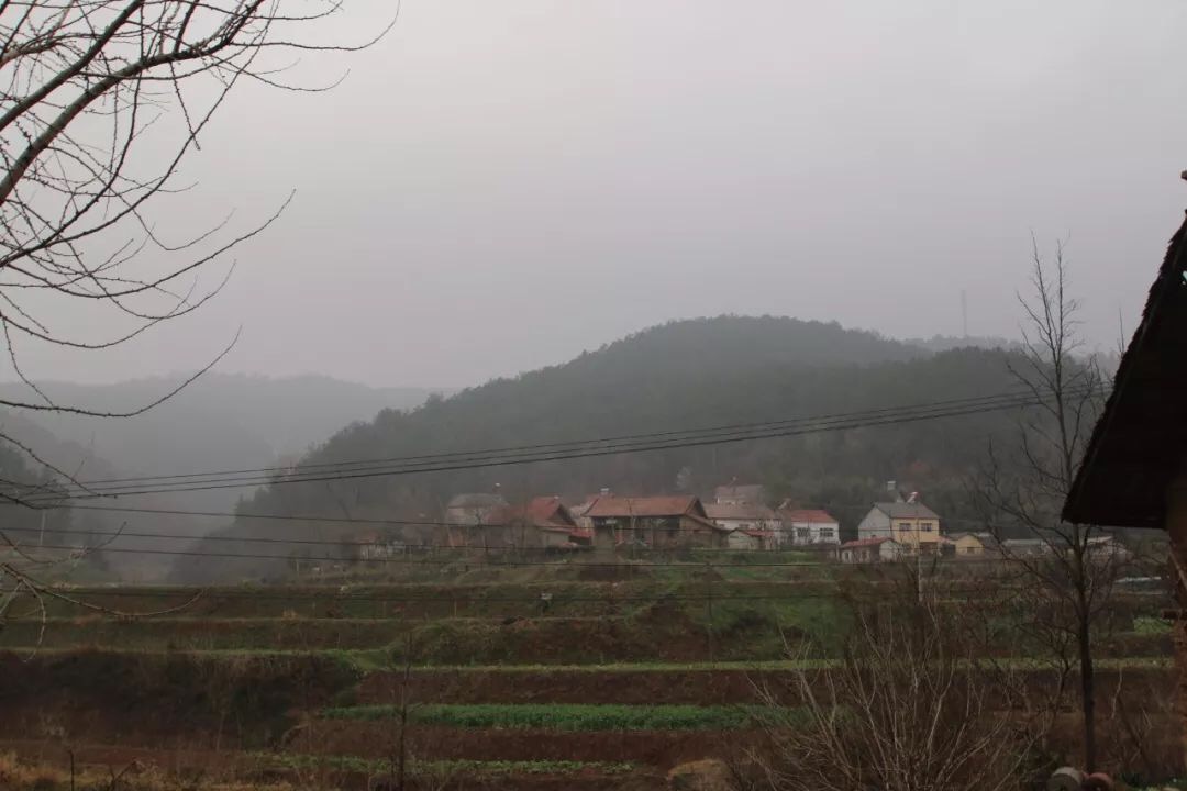 IMG_2297.JPG